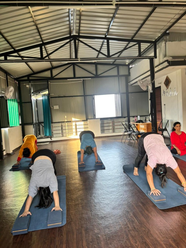 Group yoga class practicing downward facing dog pose using blocks inside the studio