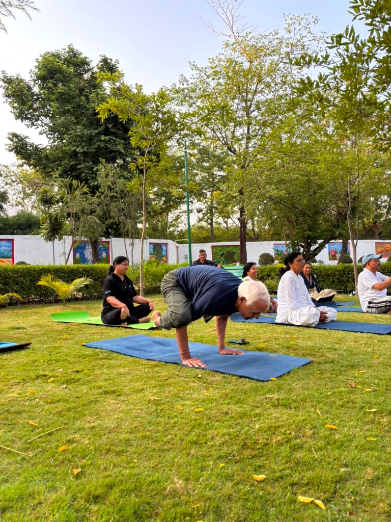 Practitioner performing a peacock pose (Mayurasana variation) hand balance in a park